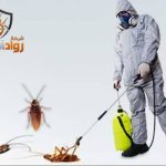 شركة مكافحة حشرات بالبدائع