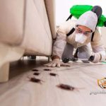 شركة مكافحة حشرات بالبكريه