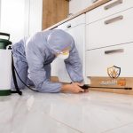 شركة مكافحة حشرات بالرياض