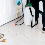 شركة مكافحة حشرات بالزلفي