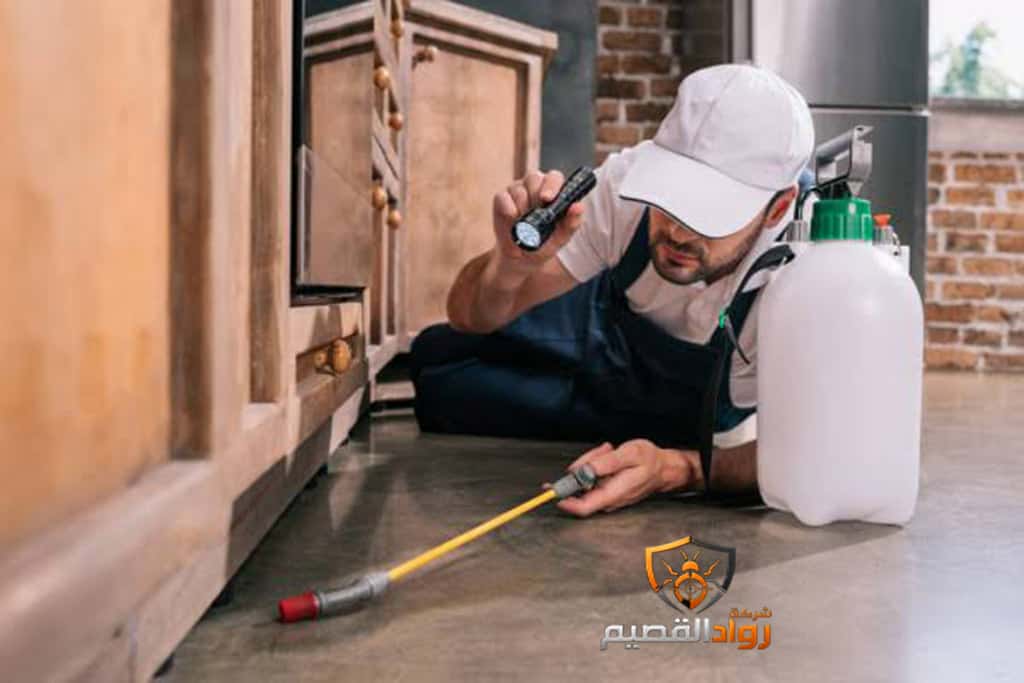 شركة مكافحة حشرات بالمذنب