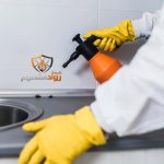 شركة مكافحة حشرات برياض الخبراء