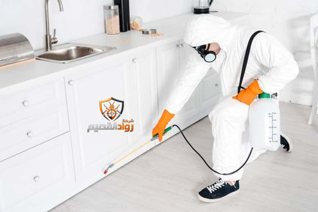 شركة مكافحة حشرات برياض الخبراء